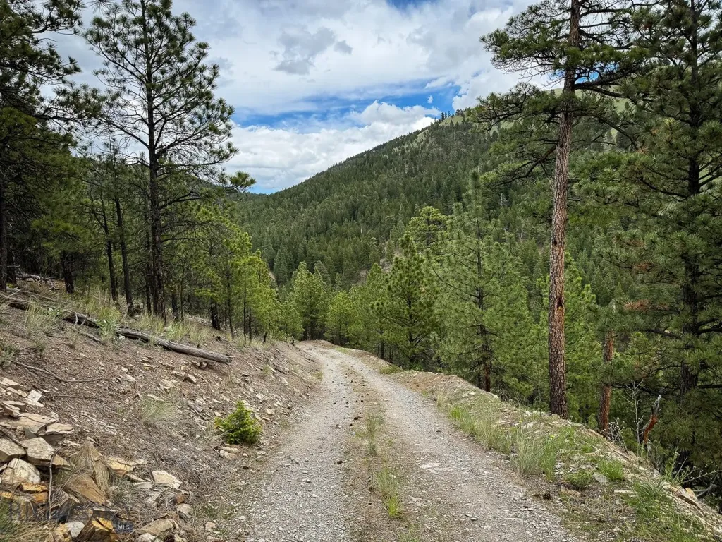 2270 Lynx Trail Drive Wolf Creek MT 59648