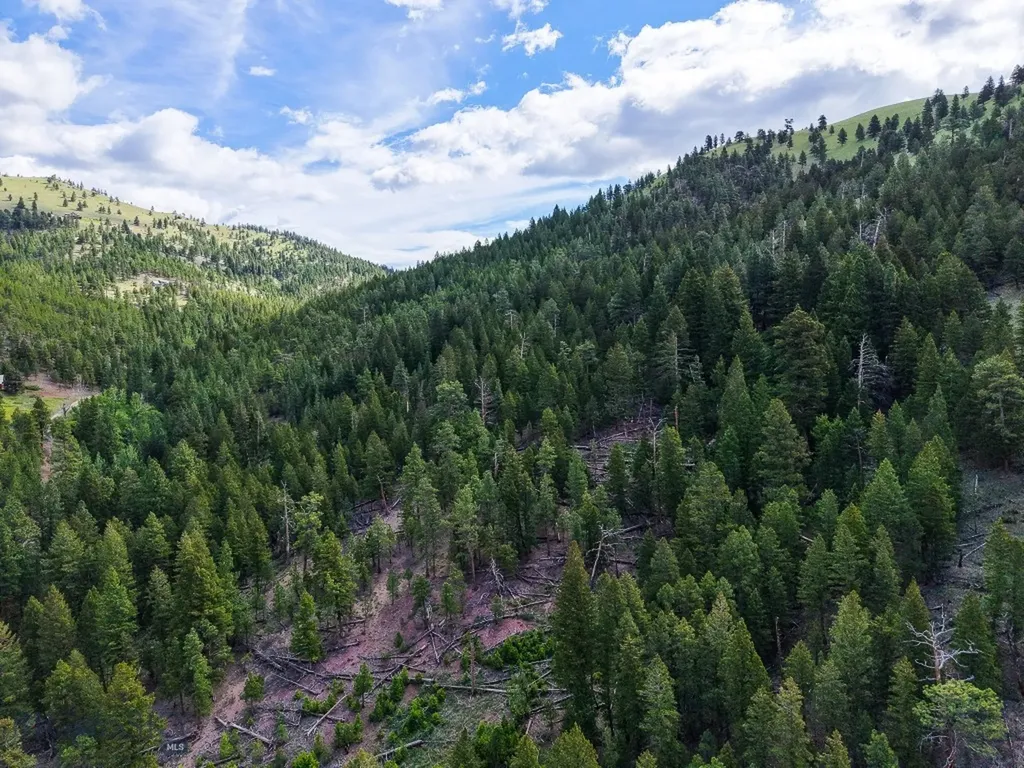 2270 Lynx Trail Drive Wolf Creek MT 59648