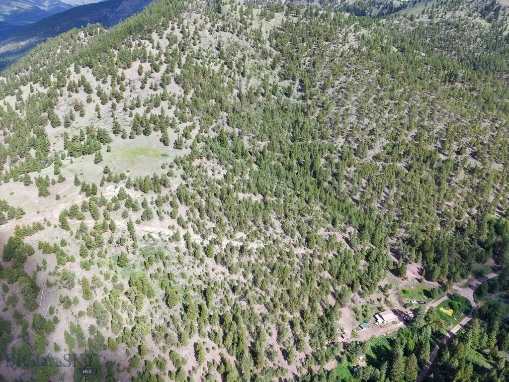 2270 Lynx Trail Drive Wolf Creek MT 59648