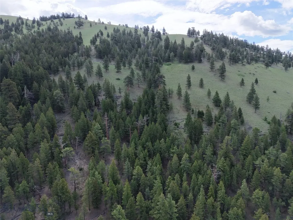 2270 Lynx Trail Drive Wolf Creek MT 59648