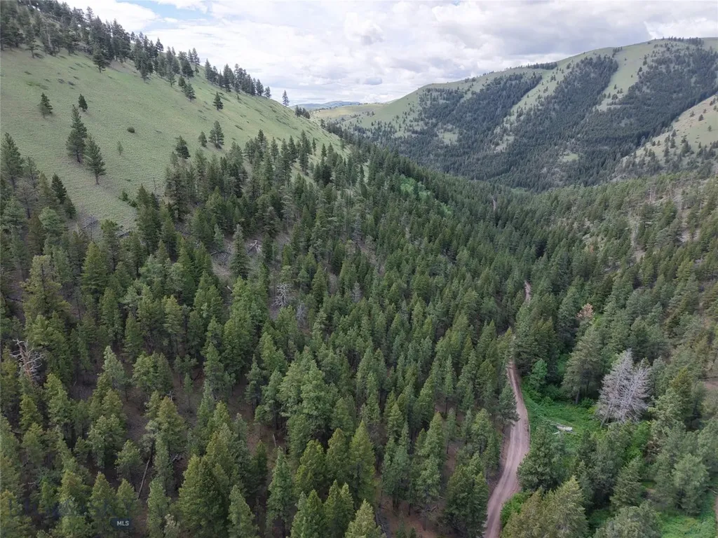 2270 Lynx Trail Drive Wolf Creek MT 59648