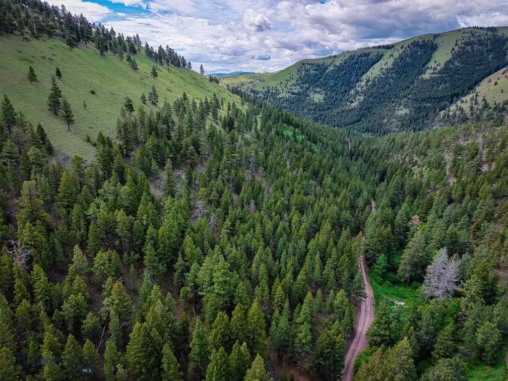 2270 Lynx Trail Drive Wolf Creek MT 59648