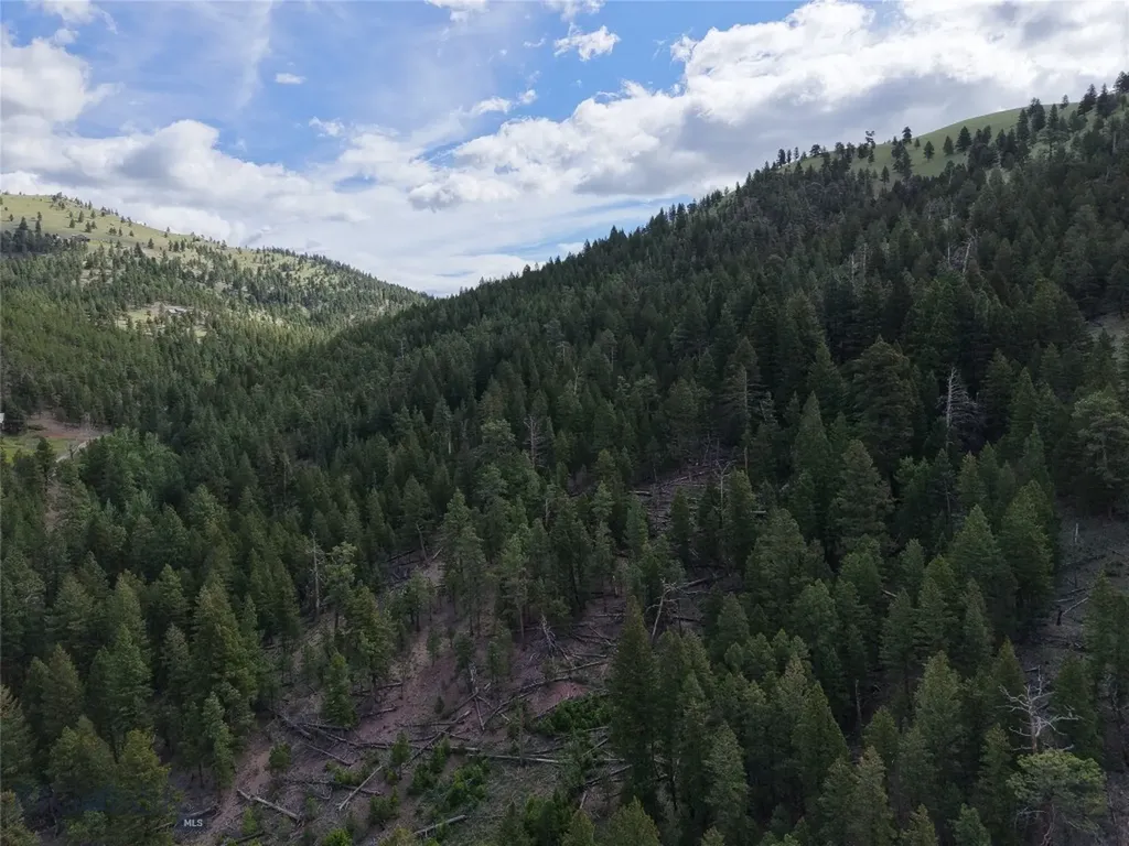2270 Lynx Trail Drive Wolf Creek MT 59648
