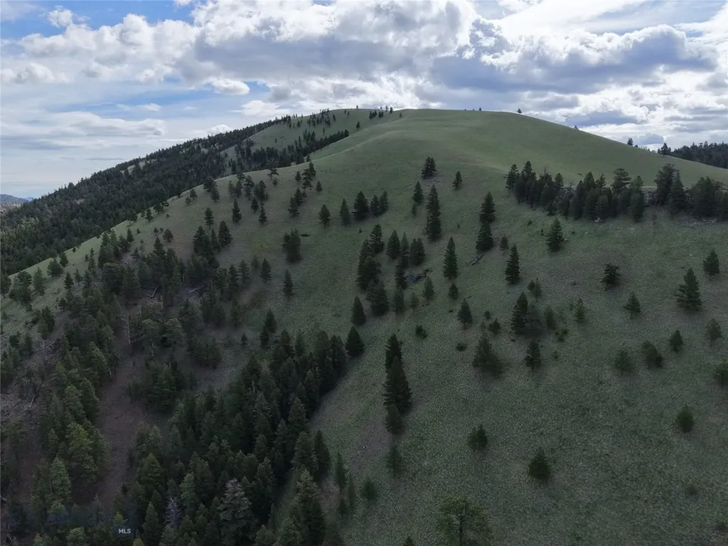 2270 Lynx Trail Drive Wolf Creek MT 59648