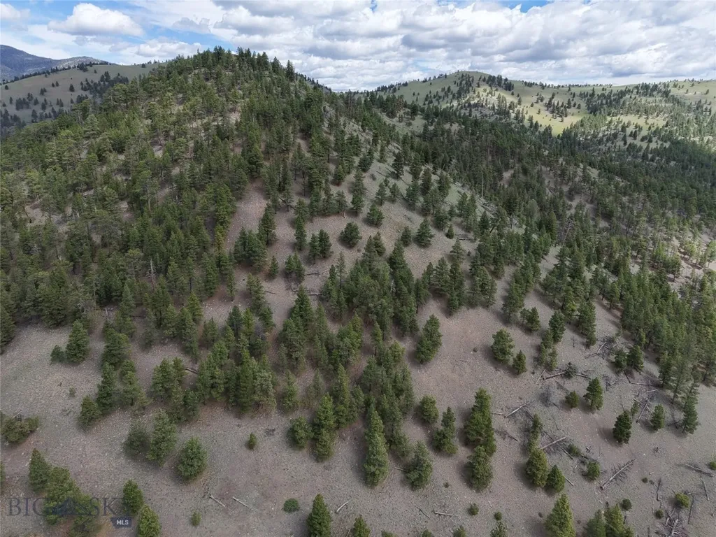 2270 Lynx Trail Drive Wolf Creek MT 59648