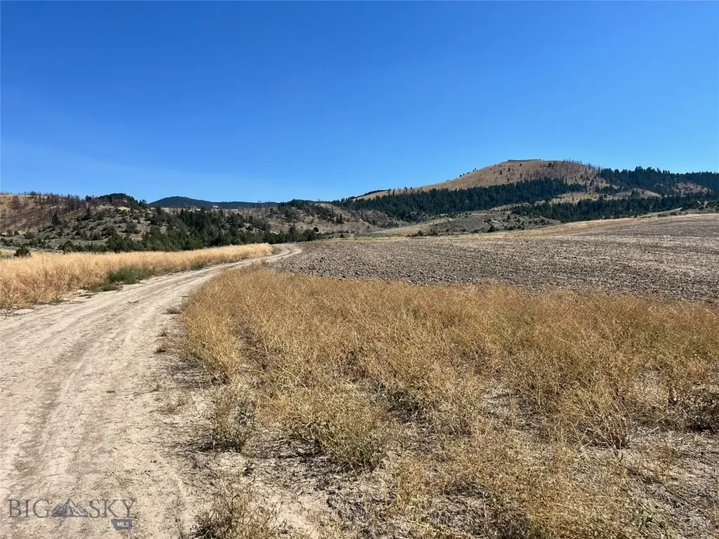 Tbd Homestead Road Three Forks MT 59752