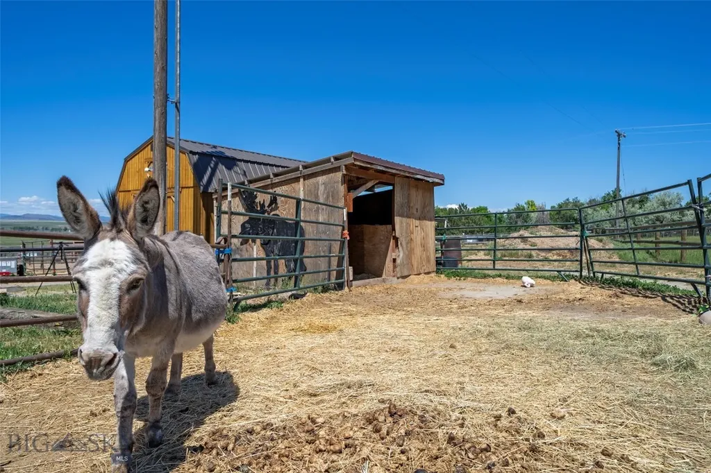 4625 Buffalo Jump Three Forks MT 59752