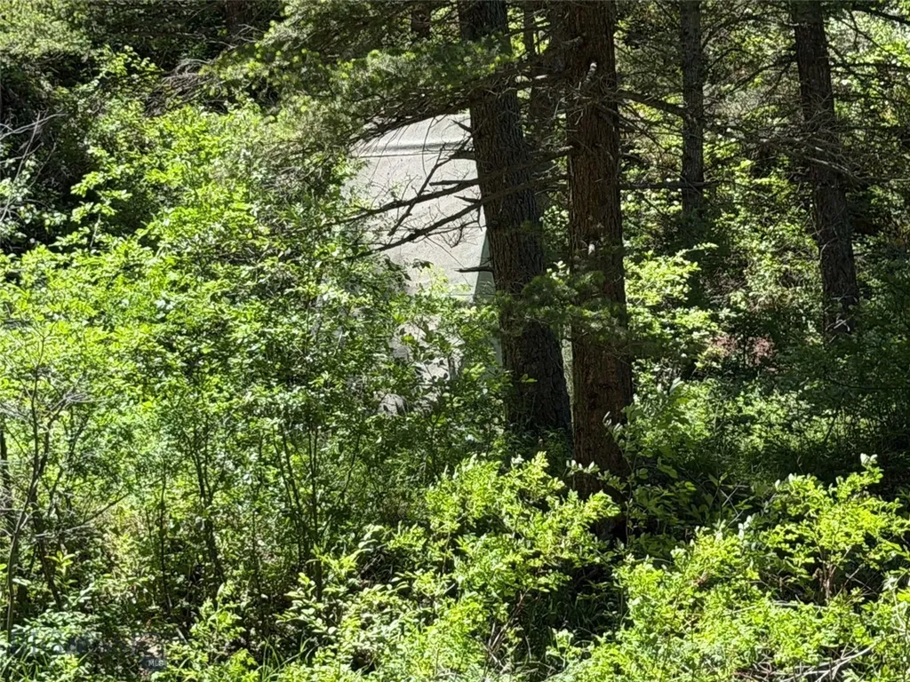 2623 Little Wolf Creek Road Wolf Creek MT 59648