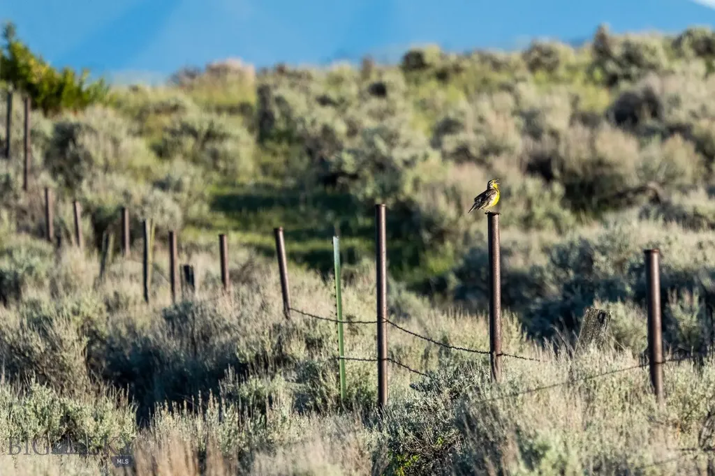 20 Shy Road Wilsall MT 59086