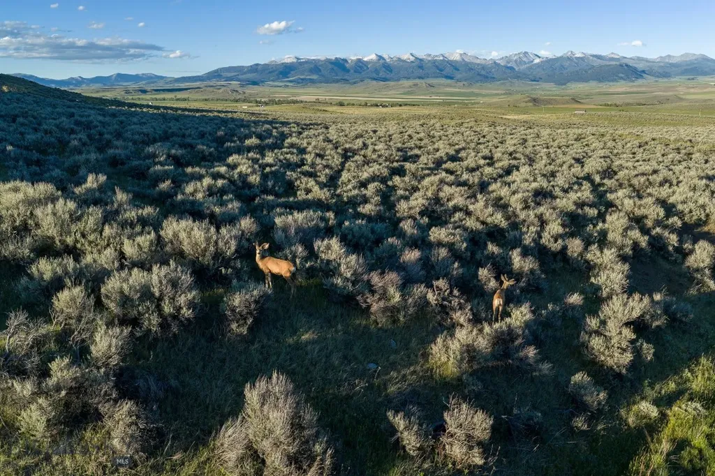 20 Shy Road Wilsall MT 59086