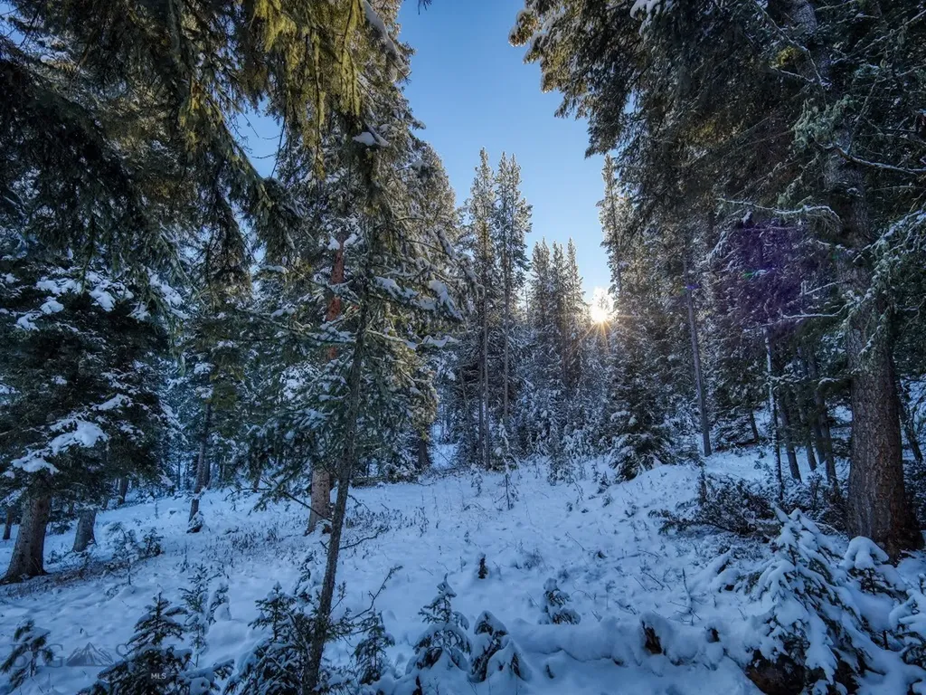 Tbd Macks Road Big Sky MT 59716