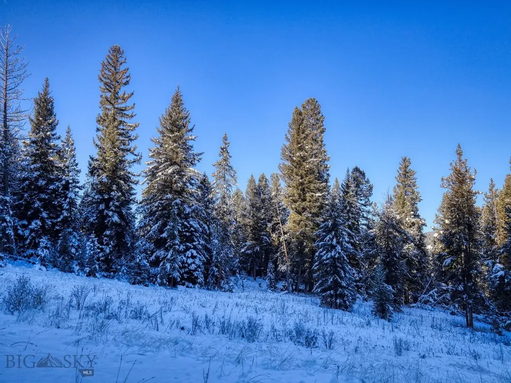 Tbd Macks Road Big Sky MT 59716