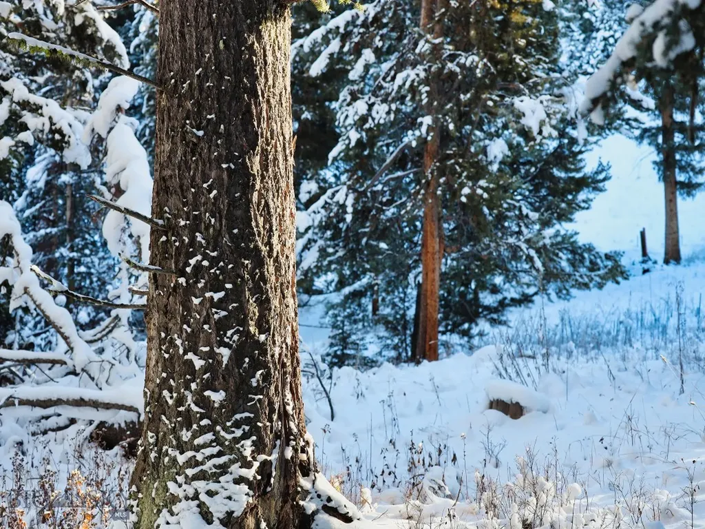 Tbd Macks Road Big Sky MT 59716