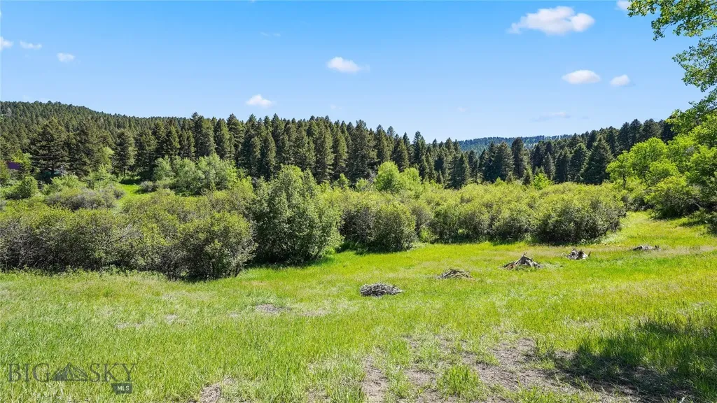 65 Mountain Brook Road Livingston MT 59047
