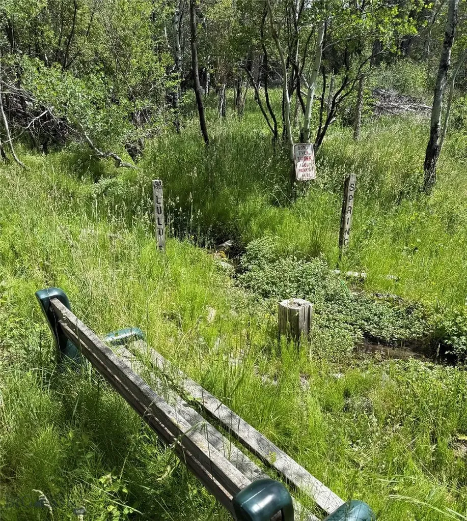 1005 East River Road Emigrant MT 59027