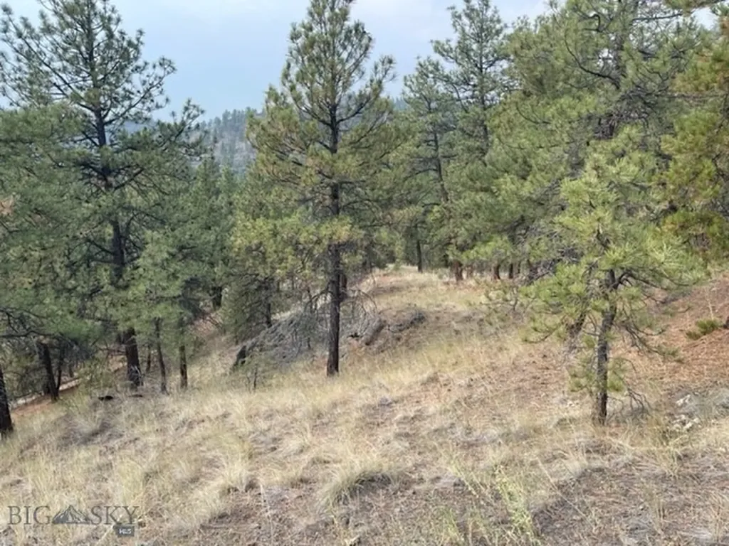 Cascade MT 59421