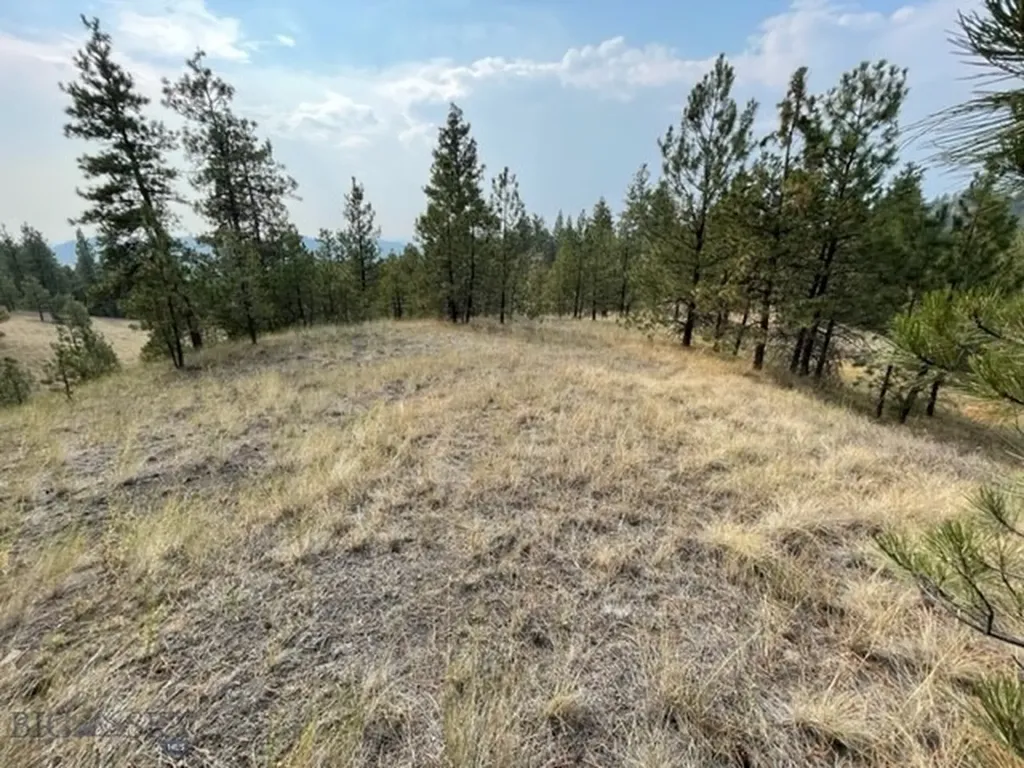 Cascade MT 59421