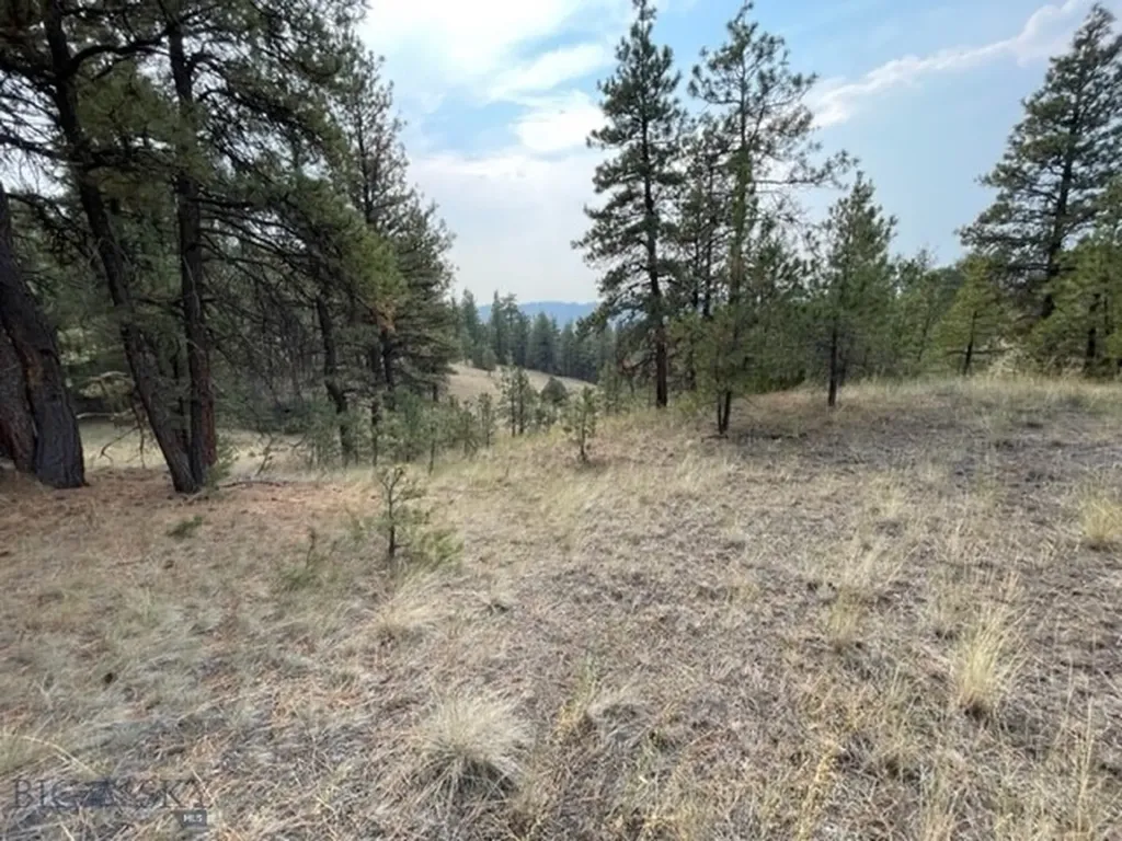 Cascade MT 59421