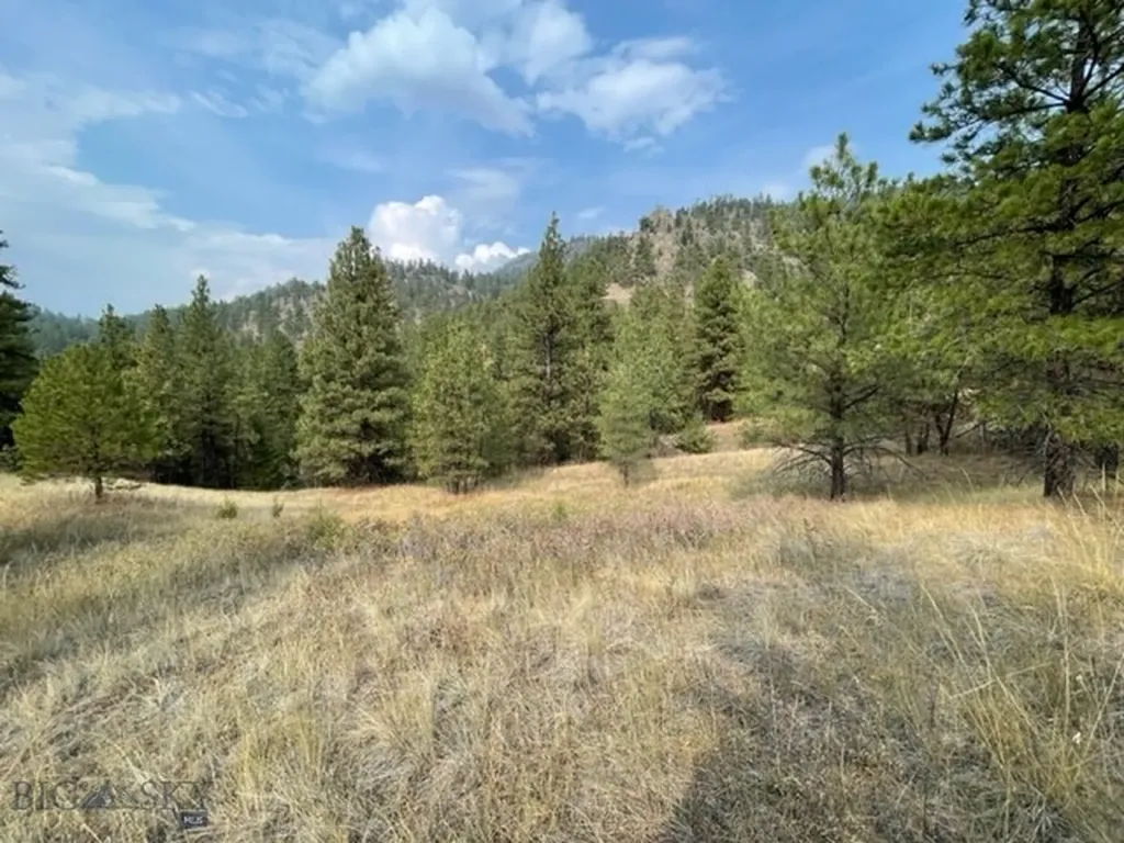 Cascade MT 59421