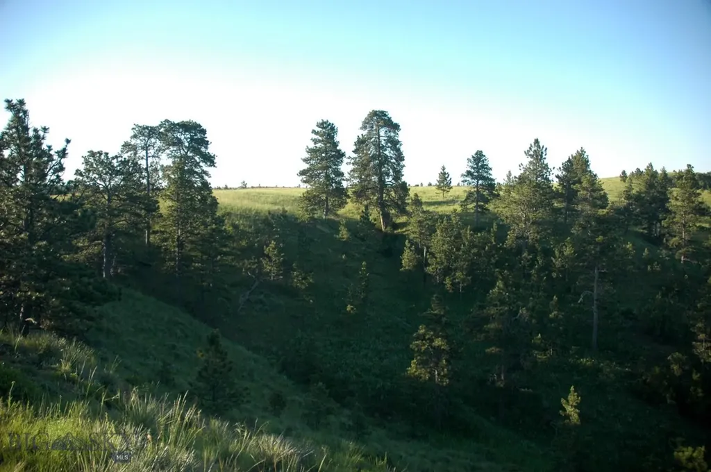Nhn Lone Rock Canyon Lane Hysham MT 59038