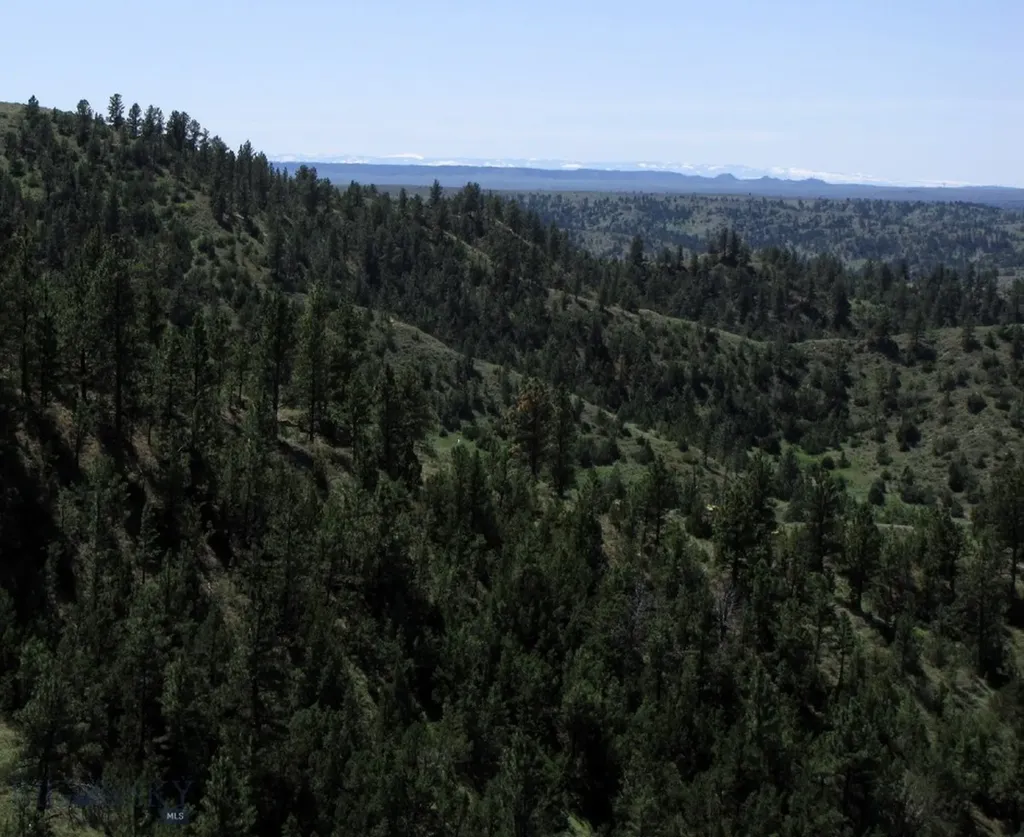 Nhn Lone Rock Canyon Lane Hysham MT 59038