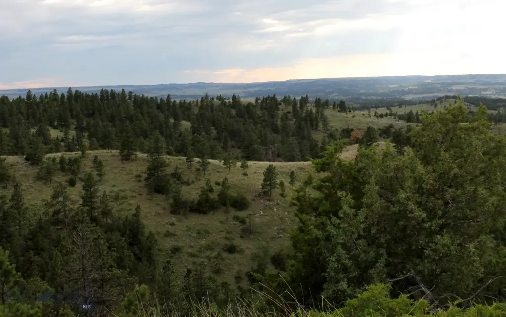 Nhn Lone Rock Canyon Lane Hysham MT 59038