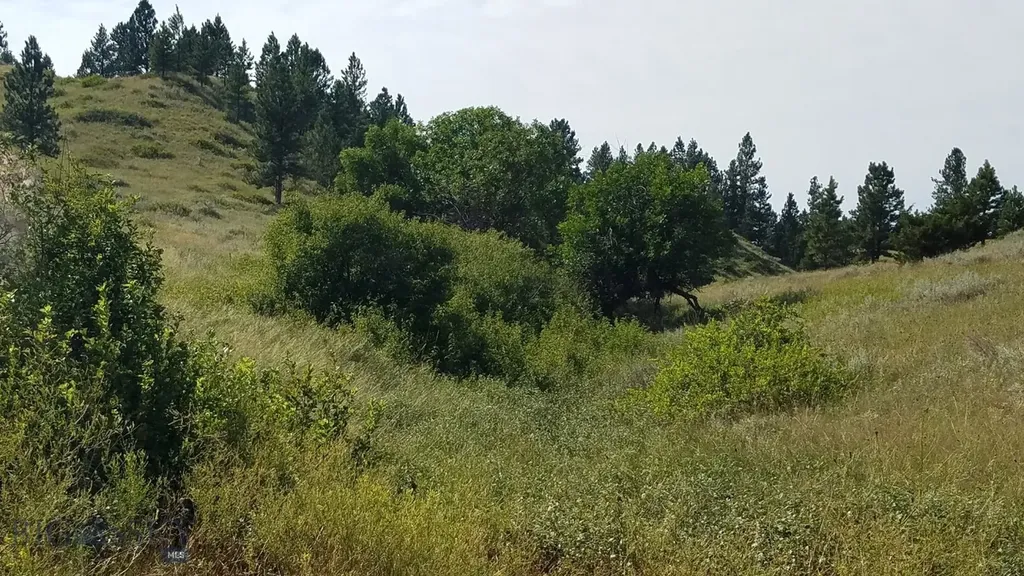 Nhn Lone Rock Canyon Lane Hysham MT 59038