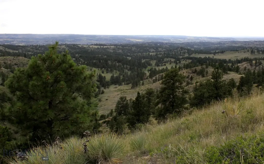 Nhn Lone Rock Canyon Lane Hysham MT 59038