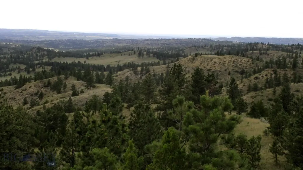 Nhn Lone Rock Canyon Lane Hysham MT 59038