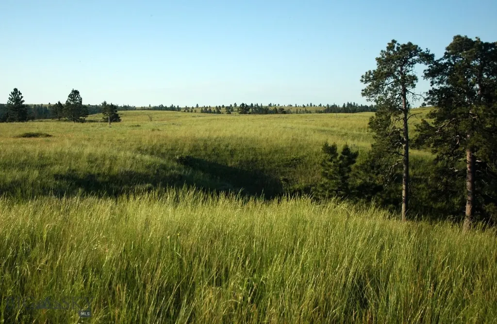 Nhn Lone Rock Canyon Lane Hysham MT 59038
