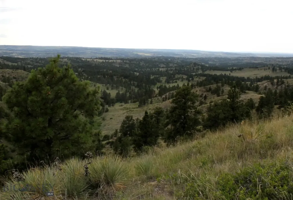 Nhn Lone Rock Canyon Lane Hysham MT 59038