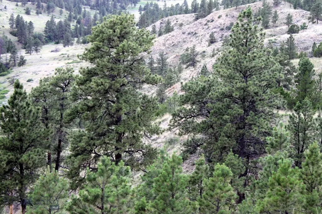 Nhn Lone Rock Canyon Lane Hysham MT 59038