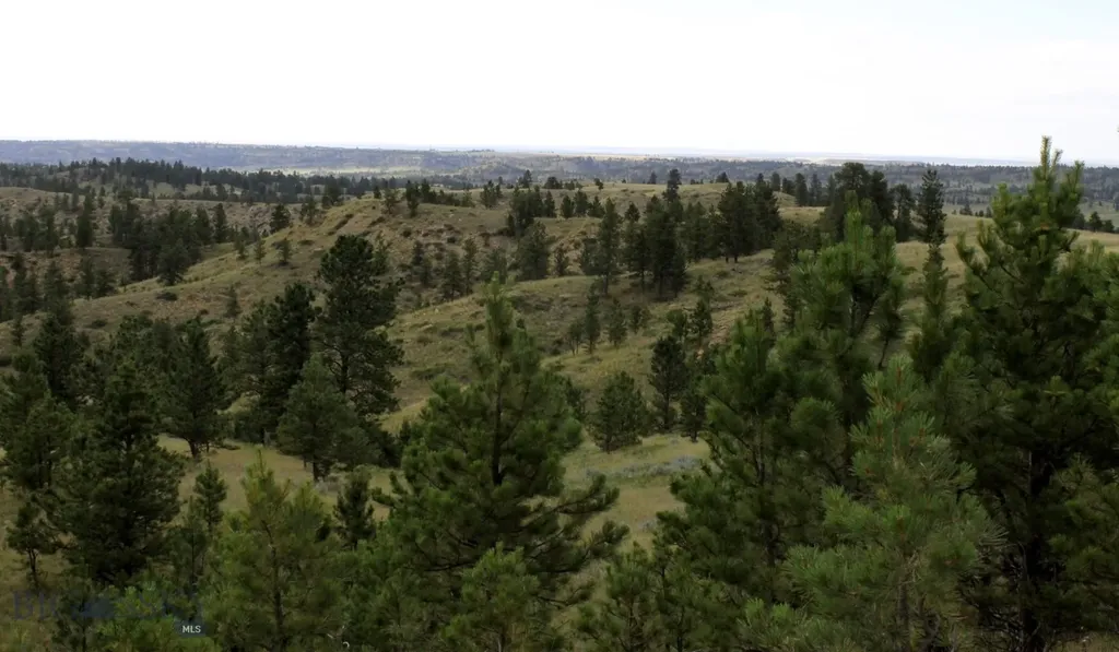 Nhn Lone Rock Canyon Lane Hysham MT 59038