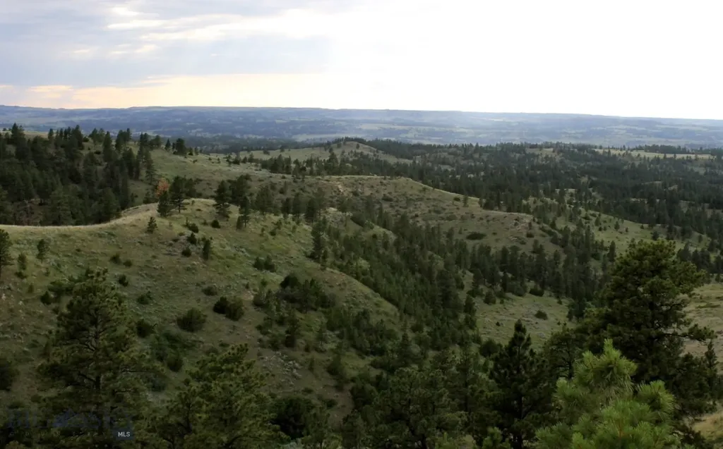 Nhn Lone Rock Canyon Lane Hysham MT 59038