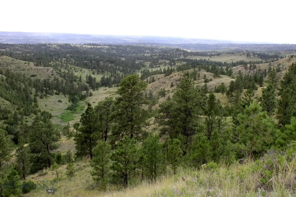 Nhn Lone Rock Canyon Lane Hysham MT 59038