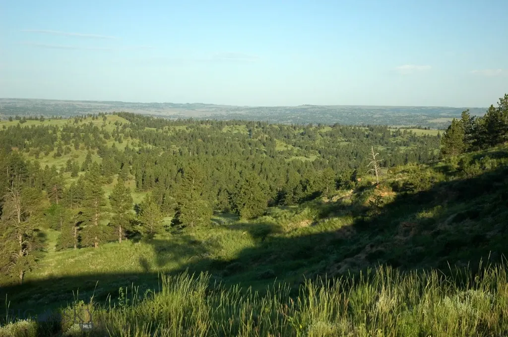Nhn Lone Rock Canyon Lane Hysham MT 59038