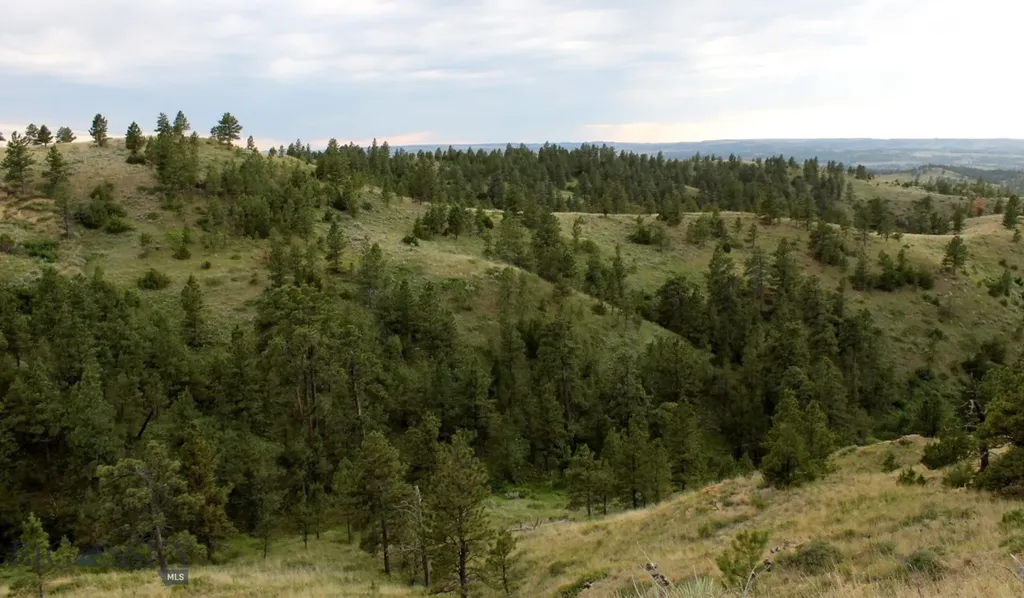 Nhn Lone Rock Canyon Lane Hysham MT 59038