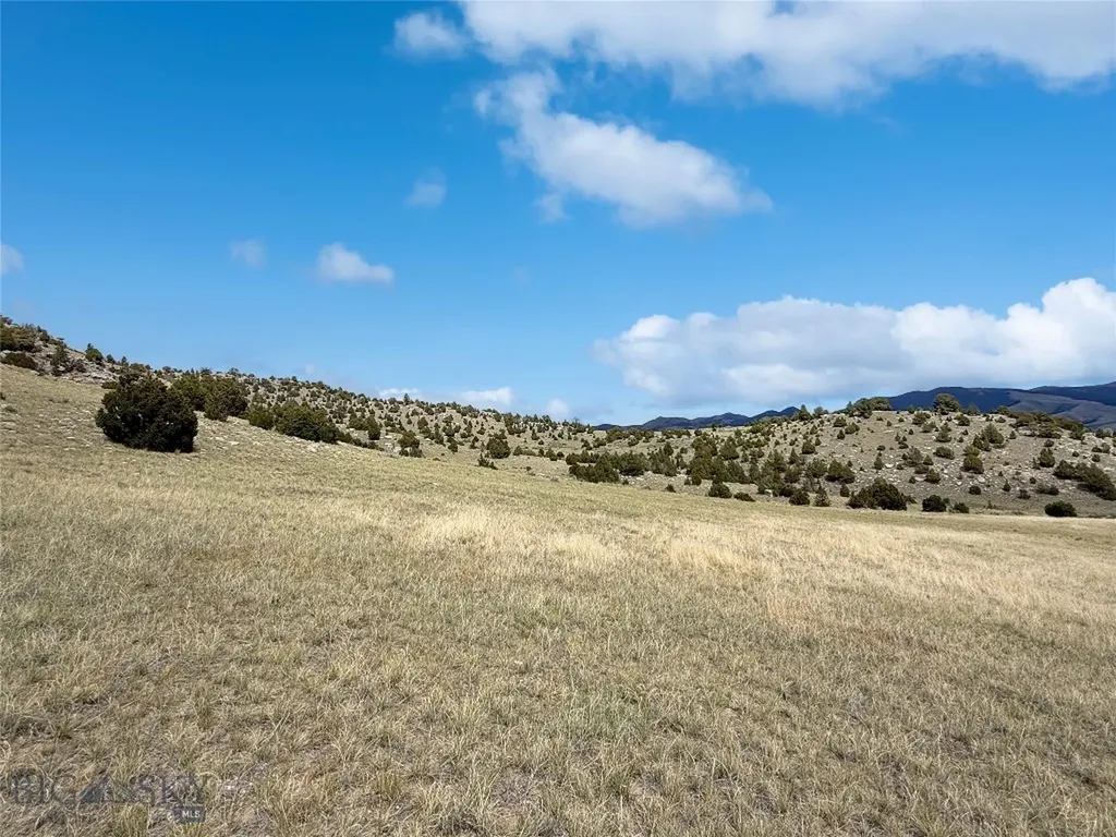 Parcel 6a2 Garden Creek Road Alder MT 59710