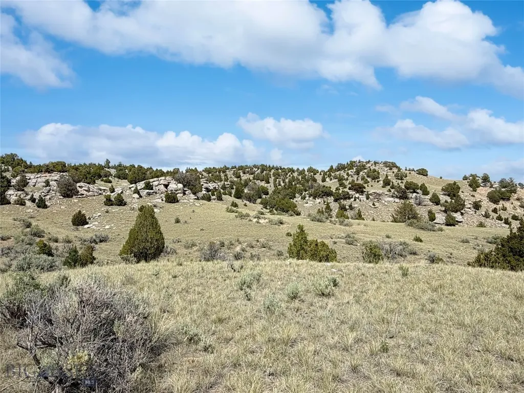 Parcel 6a2 Garden Creek Road Alder MT 59710