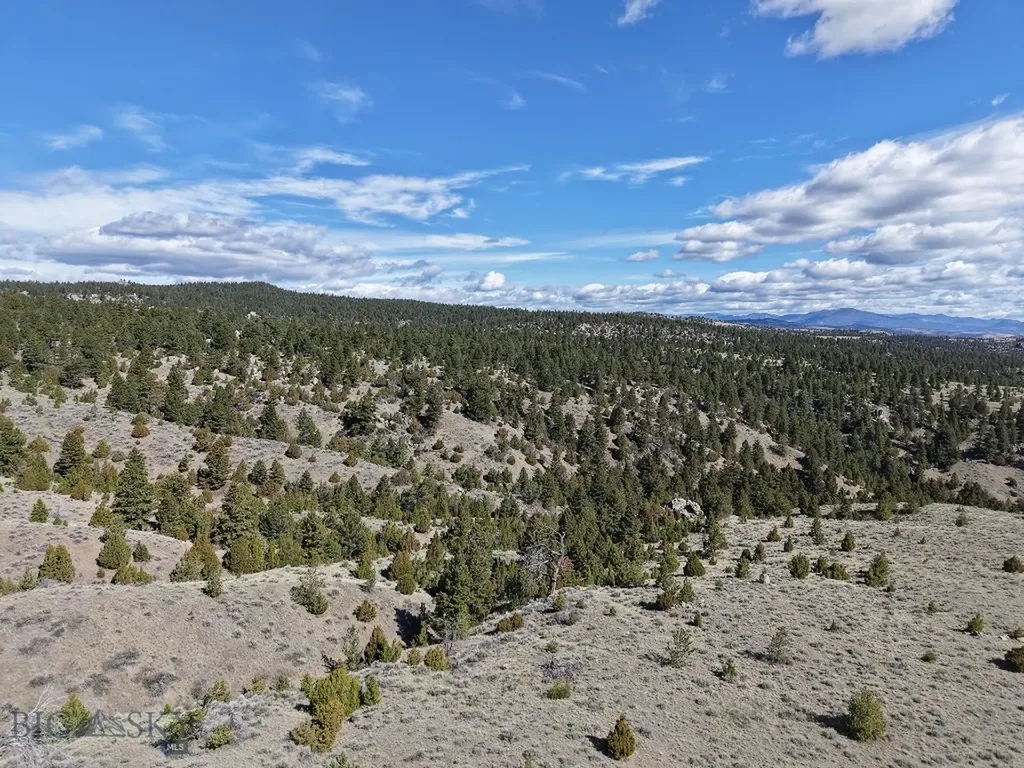 3554 Little Fish Creek Road Whitehall MT 59759