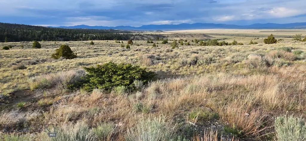 3554 Little Fish Creek Road Whitehall MT 59759