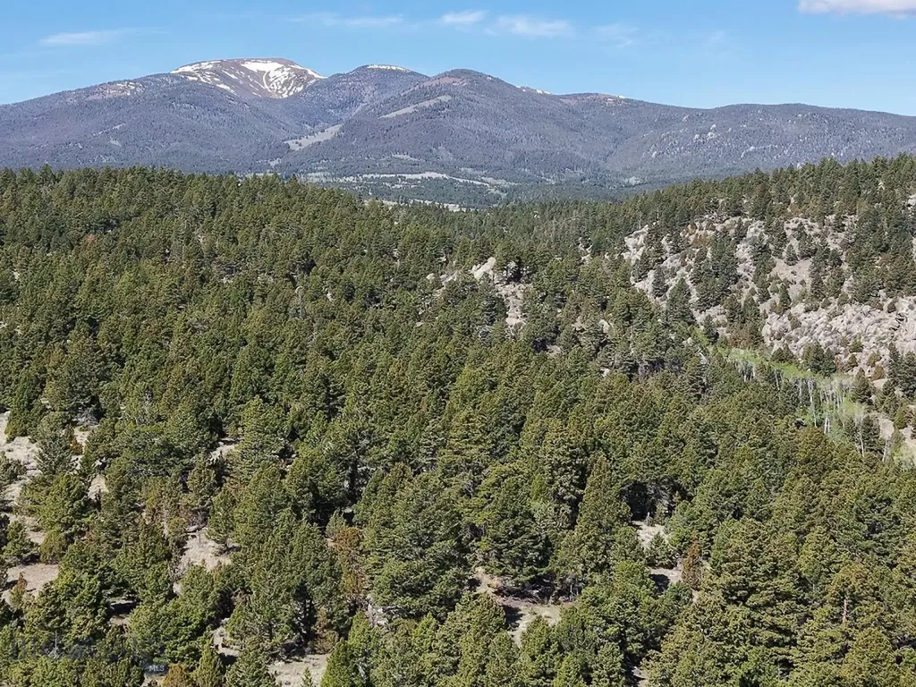 3554 Little Fish Creek Road Whitehall MT 59759