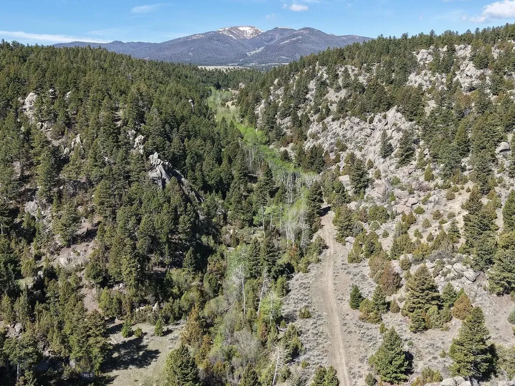 3554 Little Fish Creek Road Whitehall MT 59759