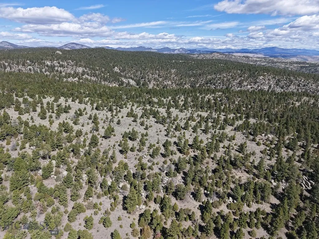 3554 Little Fish Creek Road Whitehall MT 59759