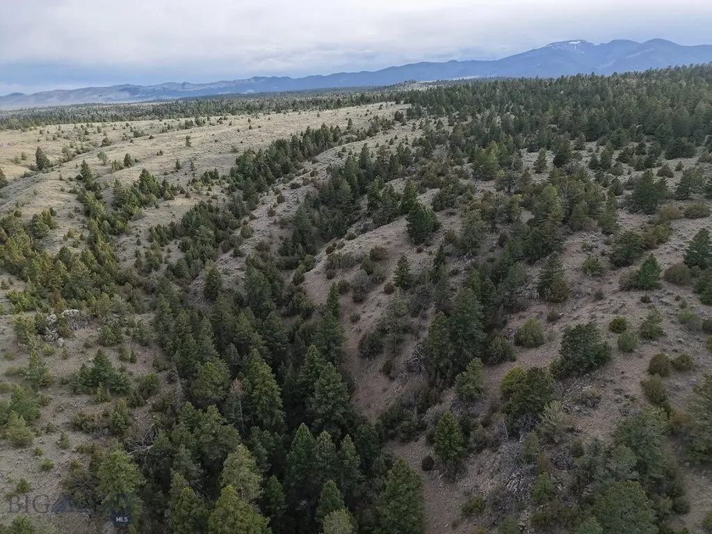 3554 Little Fish Creek Road Whitehall MT 59759