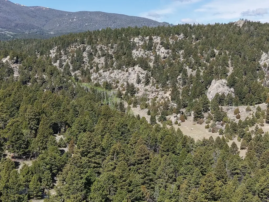 3554 Little Fish Creek Road Whitehall MT 59759