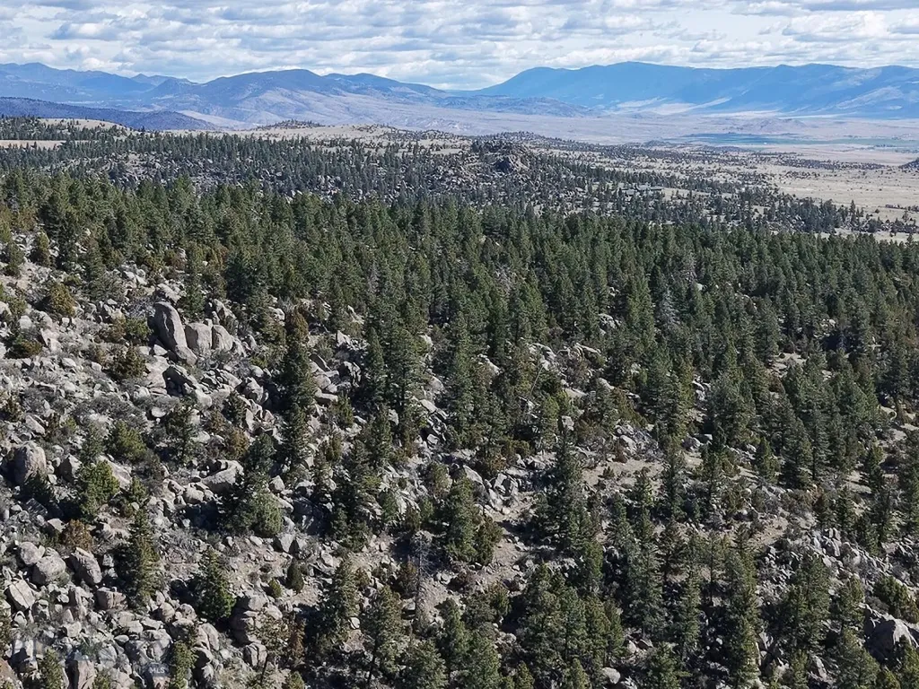 3554 Little Fish Creek Road Whitehall MT 59759