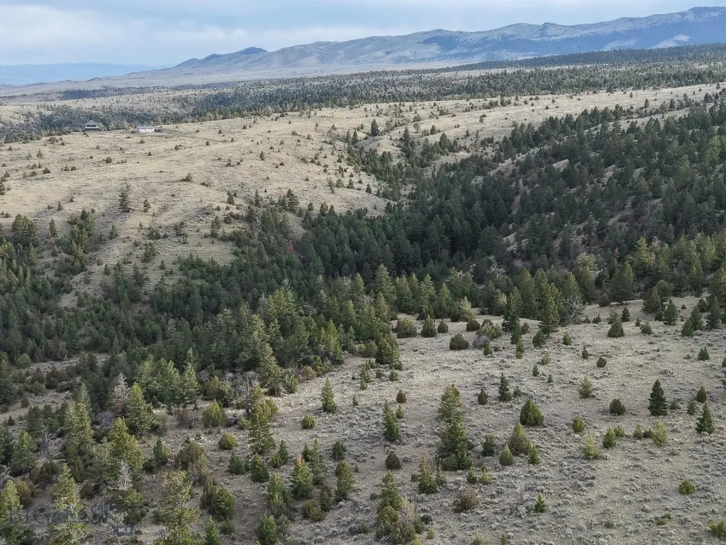 3554 Little Fish Creek Road Whitehall MT 59759