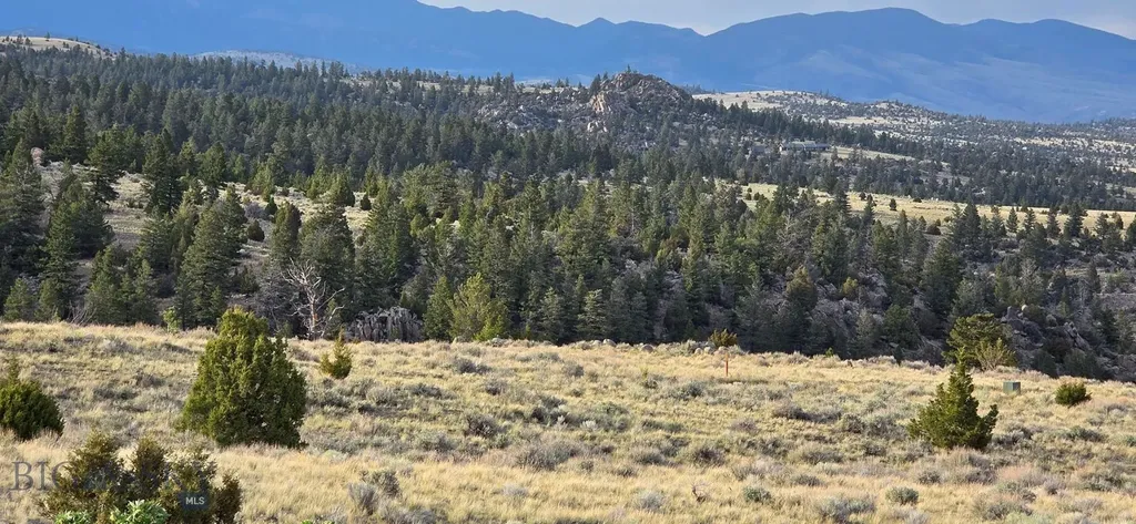 3554 Little Fish Creek Road Whitehall MT 59759