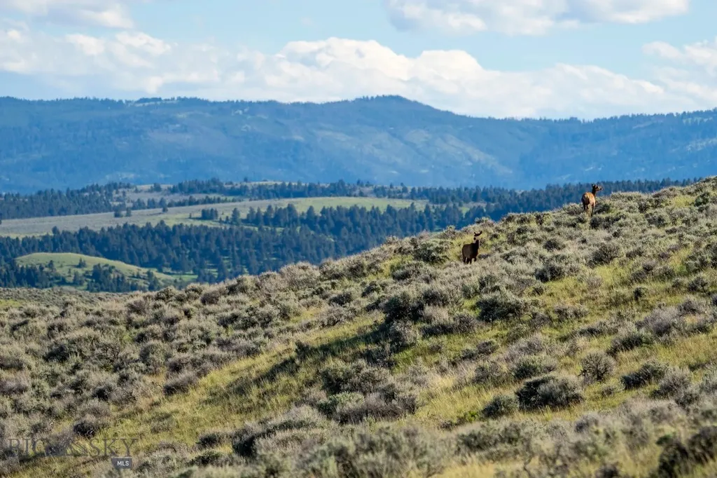70 Shy Road Wilsall MT 59086